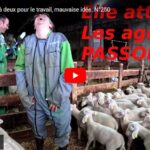 Travail à deux à la ferme !
