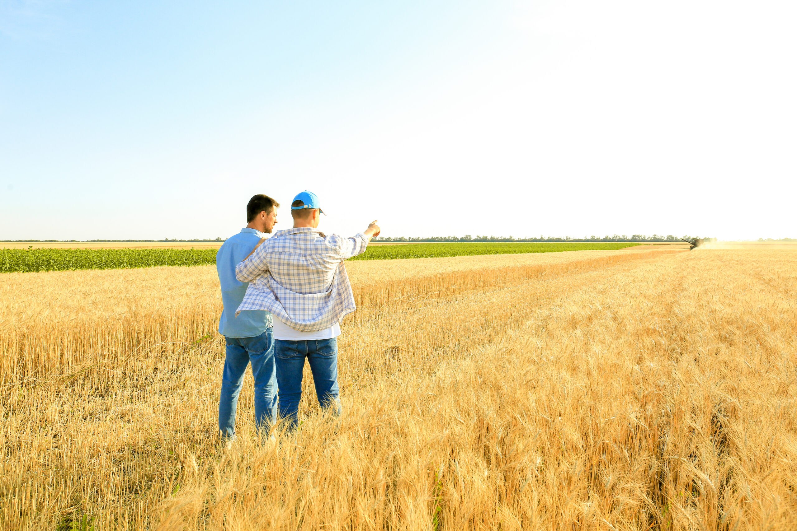 La transmission d’une exploitation agricole face à la fiscalité !