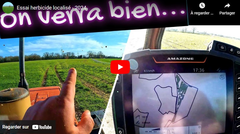 Essai herbicide localisé 2024