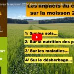 Bilan de la météo sur la moisson 2024