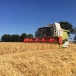 Moisson : une approche service en zone d’élevage