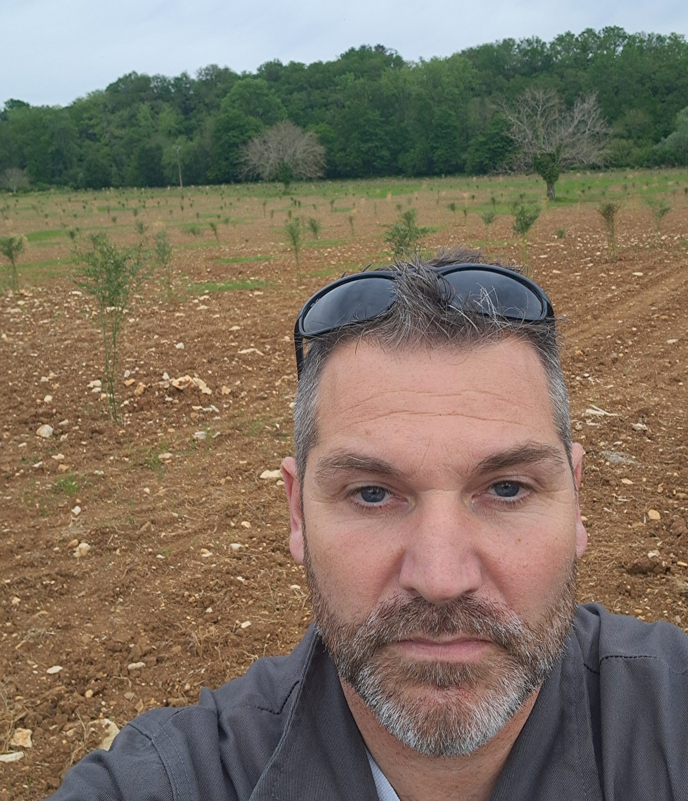Le bambou, un complément de revenu à vie (30 TMS/ha vendues 4 000 €)