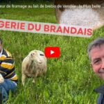 Le seul producteur de fromage au lait de brebis de Vendée
