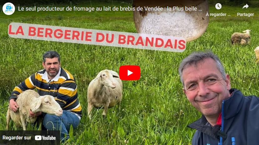Le seul producteur de fromage au lait de brebis de Vendée