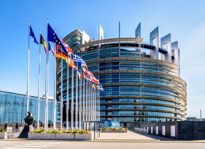 Elections européennes 2024 – Pour 71 % des agriculteurs, « une politique agricole doit d’abord garantir la souveraineté alimentaire nationale » 