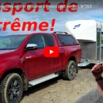 Transport des moutons en Ifor Williams