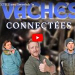 VACHES CONNECTÉES avec Sensehub