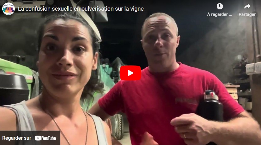 Dernier traitement de la saison