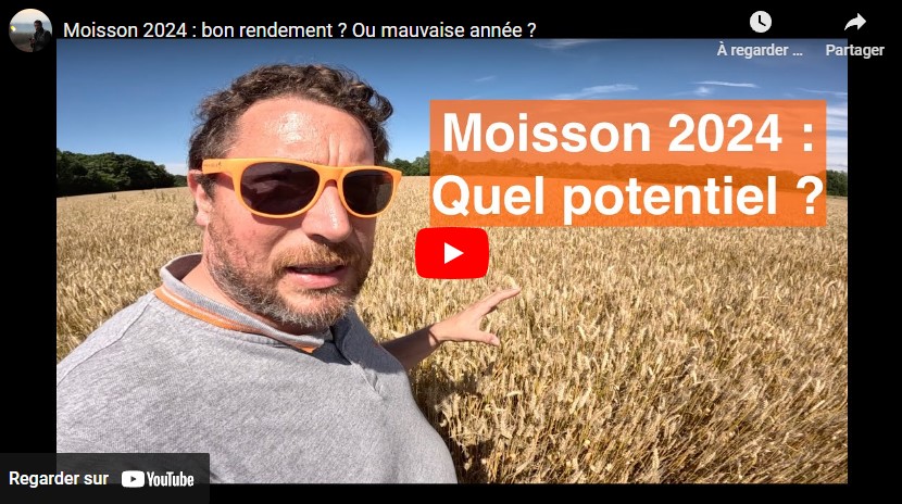 Point sur la moisson 2024