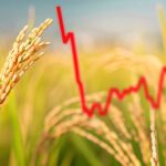 Piloter la croissance de votre ferme