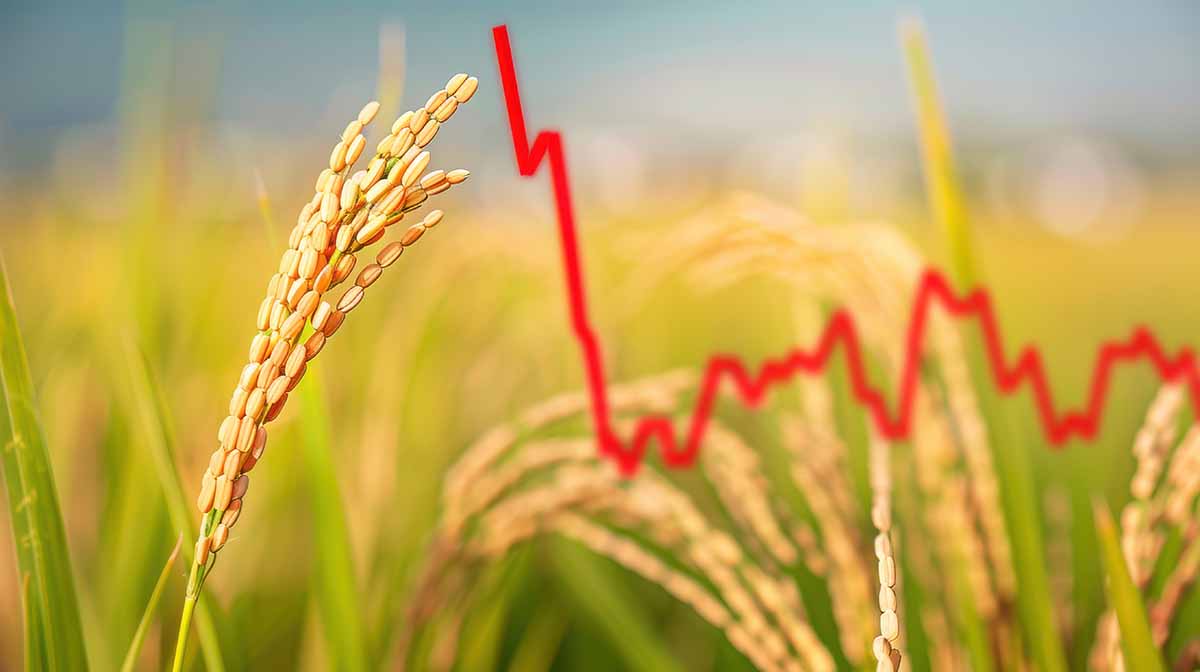 Piloter la croissance de votre ferme