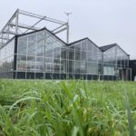 Le mode d’action de K1 certifié conforme au règlement européen