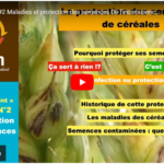 Maladies et protection des semences. De l'inconscience à la conscience ? 