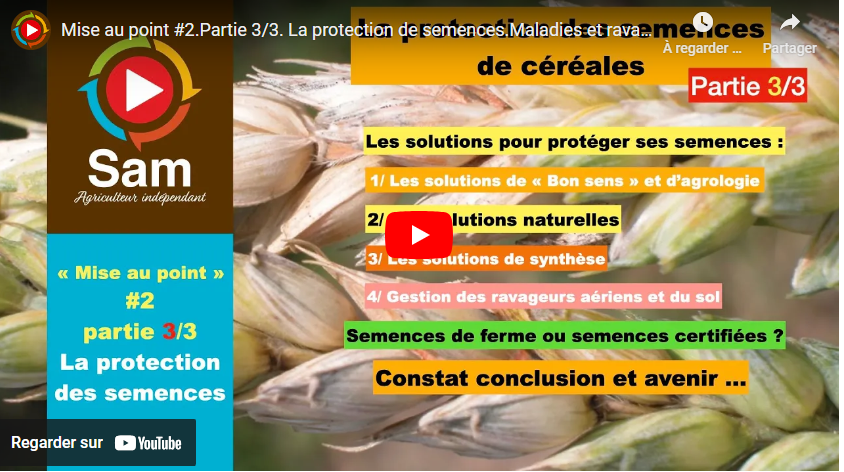 La protection de semences. Maladies et ravageurs : quelles solutions ?