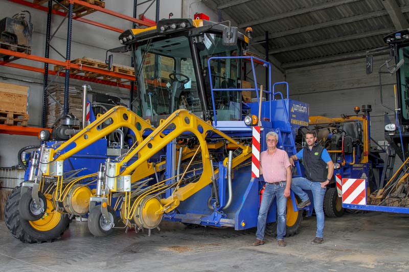 La fibre du lin textile