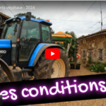 Semis de couverts végétaux - 2024