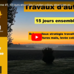 Levées colzas, structures sous maïs, stratégies de travail du sol.