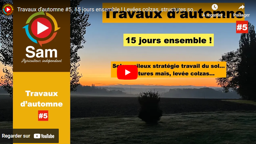 Levées colzas, structures sous maïs, stratégies de travail du sol.