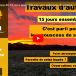 Travaux d'automne #6.15 jours ensemble. Les vers anéciques, tournesol, stratégies de travail du sol.