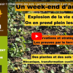 Un week-end plaisir !! Observation des sols. L'activité biologique à son maximum !
