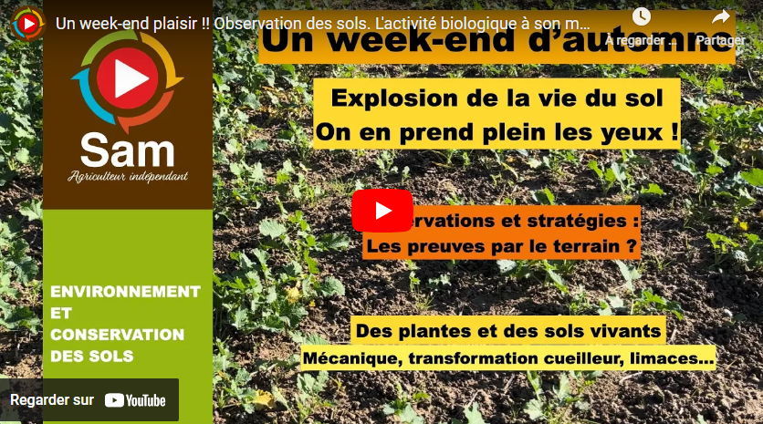 Un week-end plaisir !! Observation des sols. L&rsquo;activité biologique à son maximum !