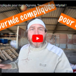 Une journée compliquée pour moi : Oignons, Tournesols et Hôpital !