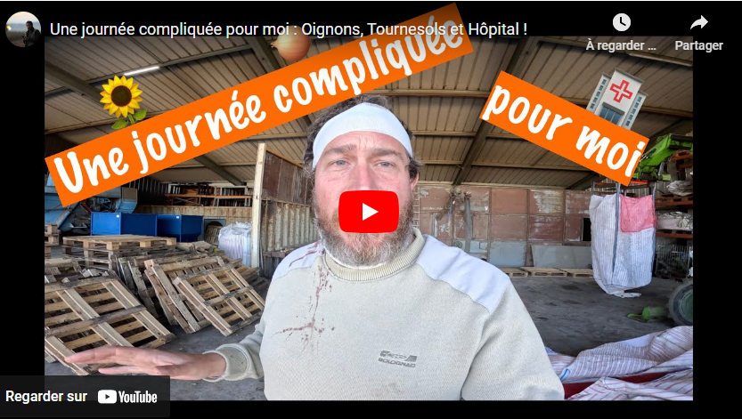 Une journée compliquée pour moi : Oignons, Tournesols et Hôpital !
