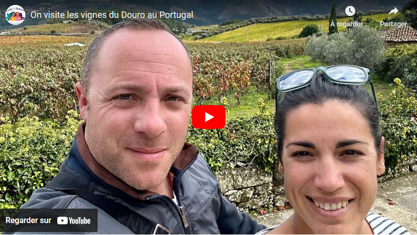 On visite les vignes du Douro au Portugal