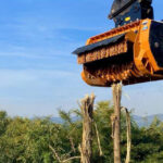 Rotor forestier "Smooth Cut" : un nouvel outil signé BERTI pour le broyage intensif