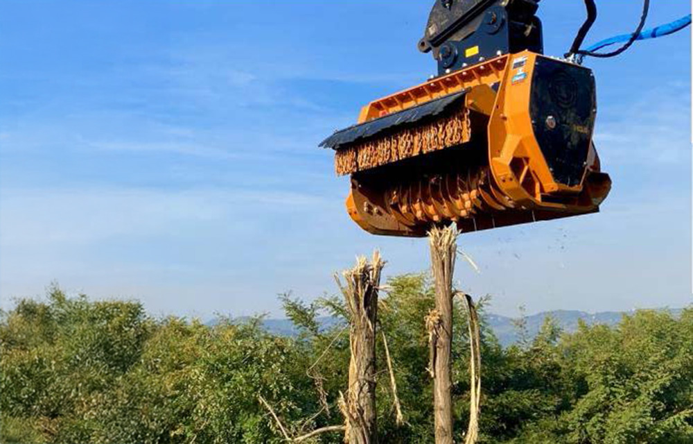 Rotor forestier « Smooth Cut » : un nouvel outil signé BERTI pour le broyage intensif