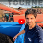 La moisson du tournesol qui n'en finit pas - 2024