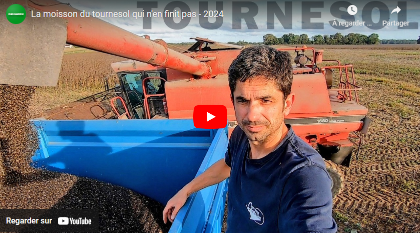 La moisson du tournesol qui n&rsquo;en finit pas – 2024