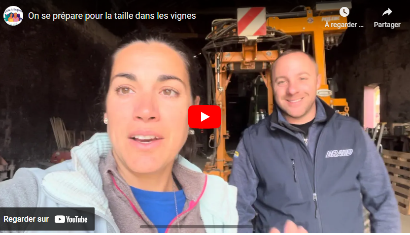 On se prépare pour la taille dans les vignes