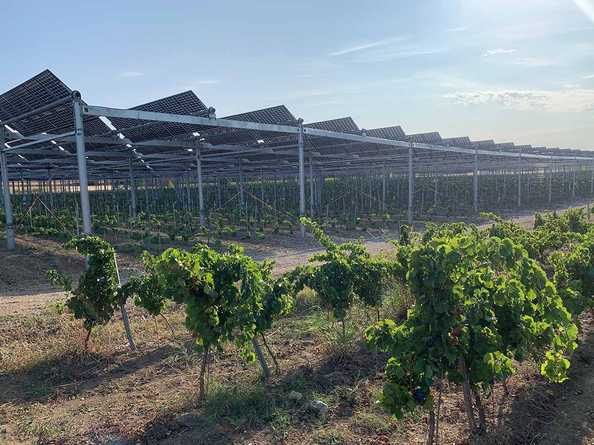 Des solutions agrivoltaïques pour concilier agriculture et production d’énergie verte