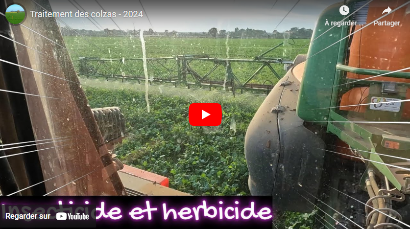 Traitement des colzas – 2024