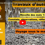 Travaux d'automne #8 Le sol est notre avenir.