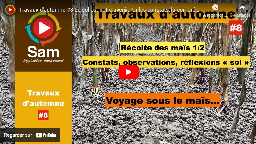 Travaux d&rsquo;automne #8 Le sol est notre avenir.
