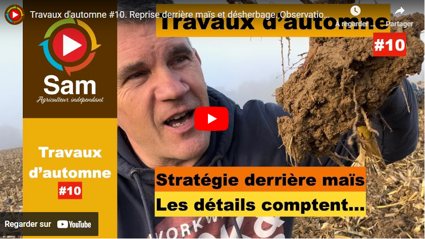 Travaux d&rsquo;automne #10. Reprise derrière maïs et désherbage.
