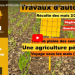 Travaux d'automne #9 Récolte des maïs fin