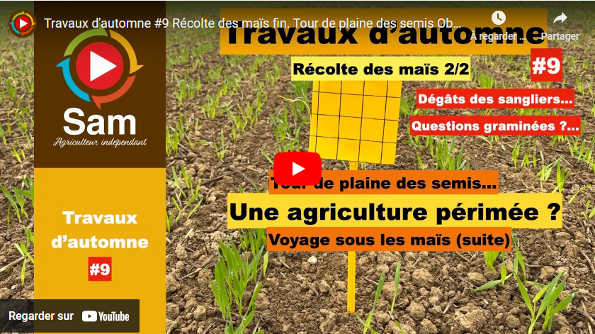 Travaux d&rsquo;automne #9 Récolte des maïs fin