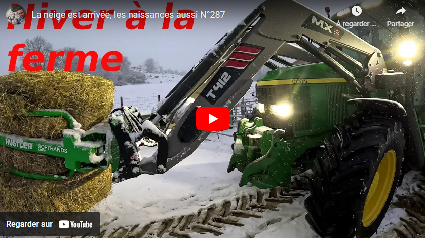 La neige est arrivée, les naissances aussi N°287