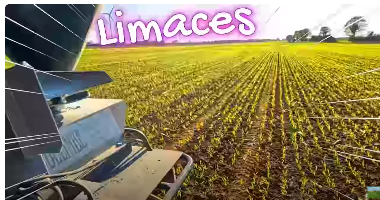 Epandage d&rsquo;anti-limaces – 2024