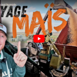 MAÏS HUMIDE c'est humide