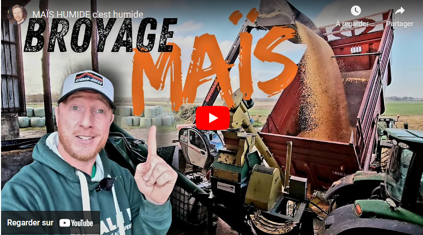 MAÏS HUMIDE c&rsquo;est humide