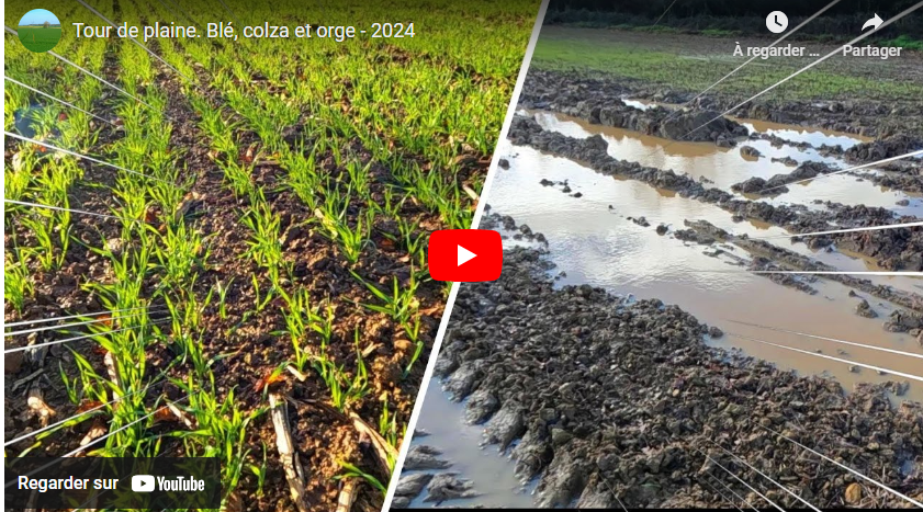 Tour de plaine. Blé, colza et orge – 2024