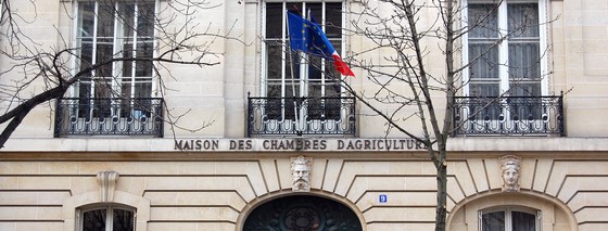 Elections 2025 des chambres d’agriculture – Le scrutin sera clos le 31 janvier prochain