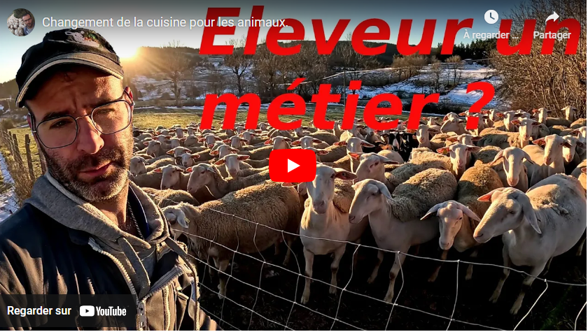 Changement de cuisine pour les animaux