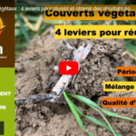Les couverts végétaux : 4 leviers pour réussir et obtenir des résultats positifs pour ses sols.