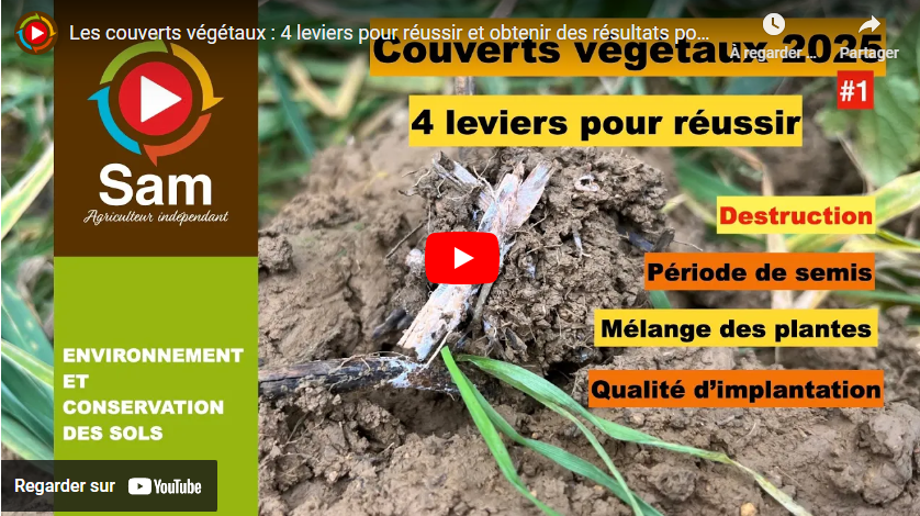 Les couverts végétaux : 4 leviers pour réussir et obtenir des résultats positifs pour ses sols.