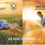 MAS Seeds, une génétique maïs grain performante au service des agriculteurs !
